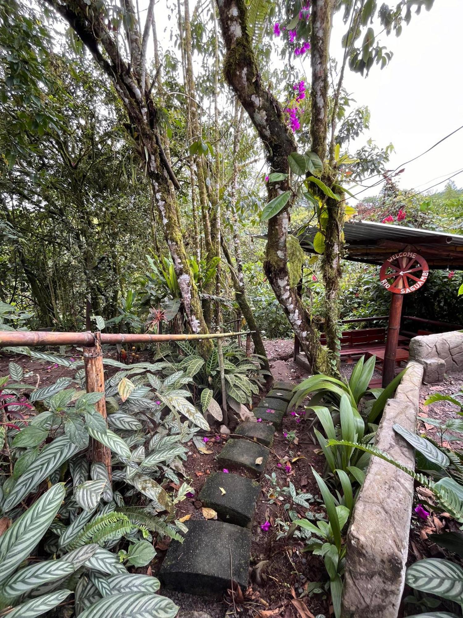 Mindo Green House Exterior photo