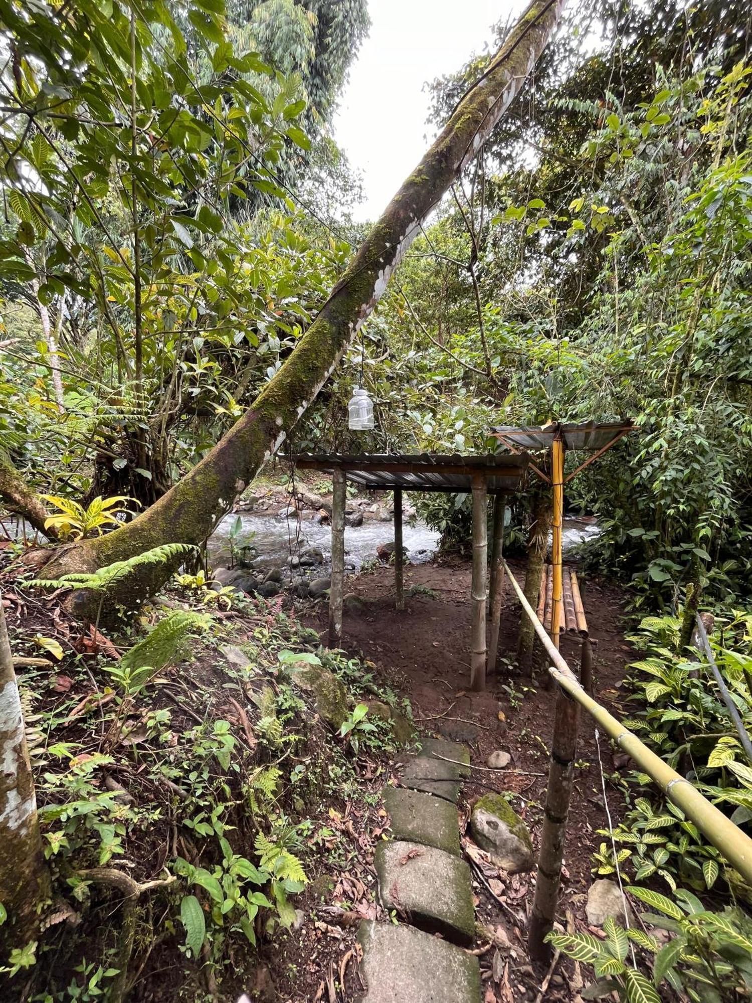 Mindo Green House Exterior photo